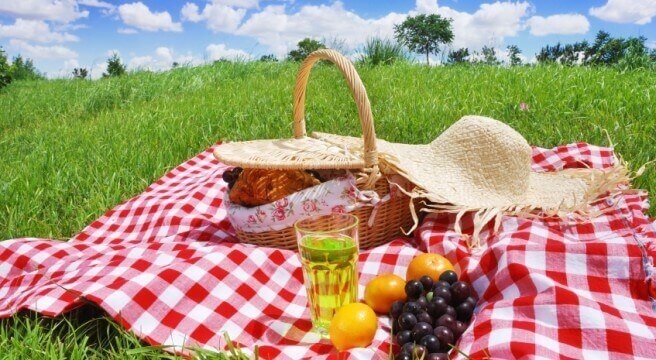 Picnic